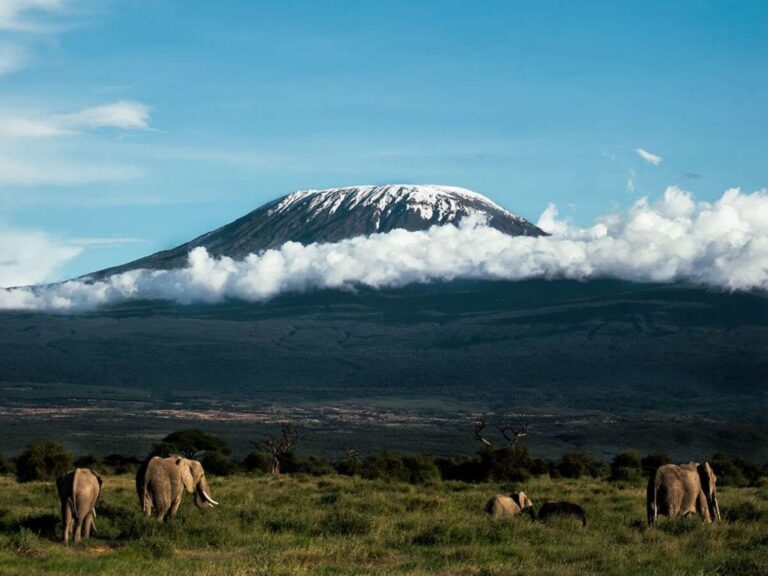 Stunning Mount Kilimanjaro view captured for our travel blog showcasing Tanzania’s iconic peak