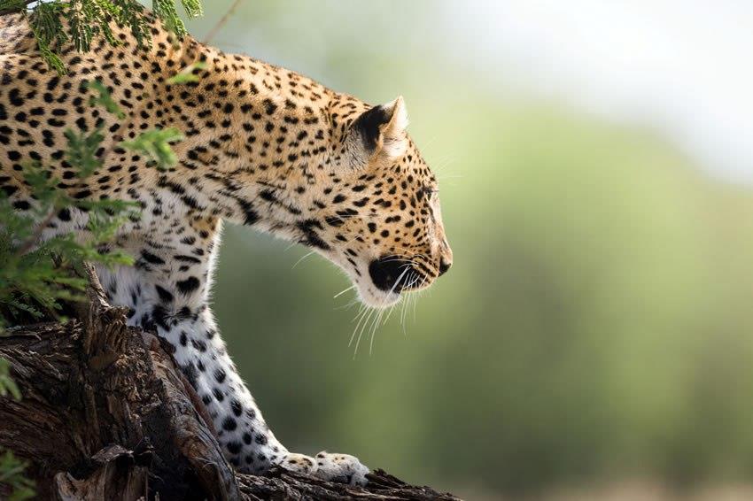 Northern Tanzania