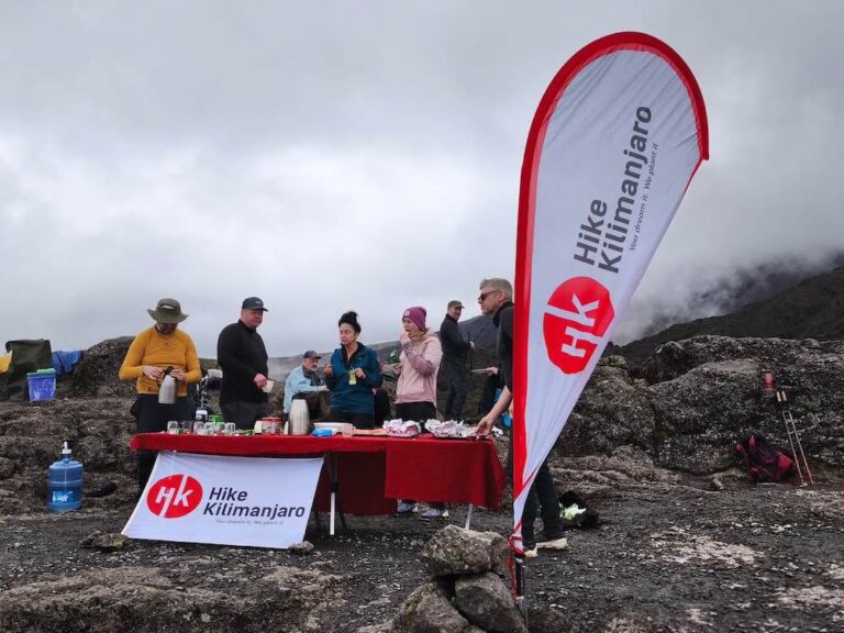 Top Kilimanjaro Trekking Companies in Tanzania