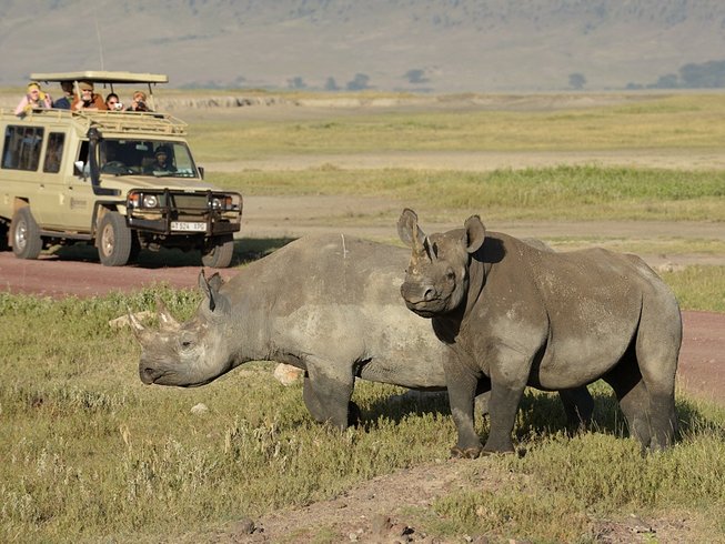 tanzania safari in ngorongoro crater