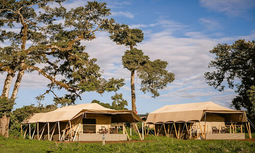 Ang`ata ngorongoro 5