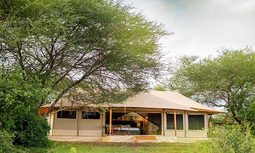 angata tarangire safari 2