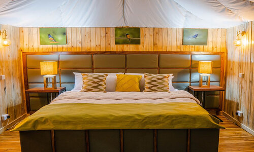 angata tarangire safari 3