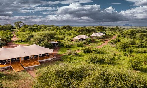 angata tarangire safari 4