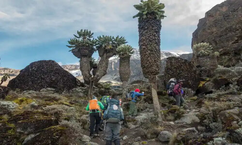 barancco to karanga during kilimanjaro lemosho route trek