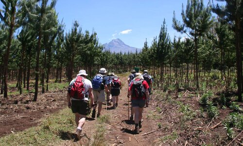 day-2-arusha-nalemuru-gate-simba-camp during Kilimanjaro Rongai Route Trek - 6 Days