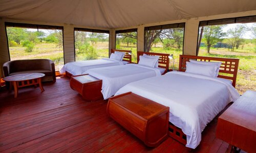 embalakai camp 8 tanzania safari