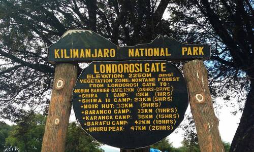 lemosho sratring point