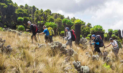 marangu 1