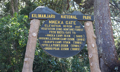 mweka gate mout kilimanjaro trek