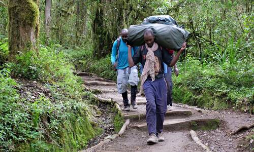 mweka route during Kilimanjaro Machame Route Trek – 7 Days
