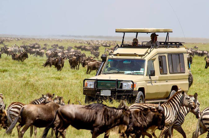 serengeti calving season migration safari 5 days