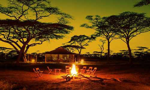 tanzania safari tarangire national park