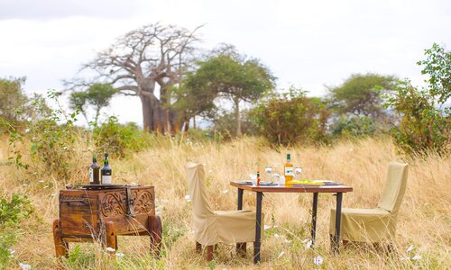 tarangire tanzania wildlife safari