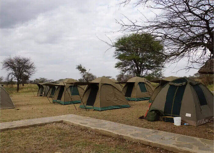 tanzania budget safari 5 days hk3