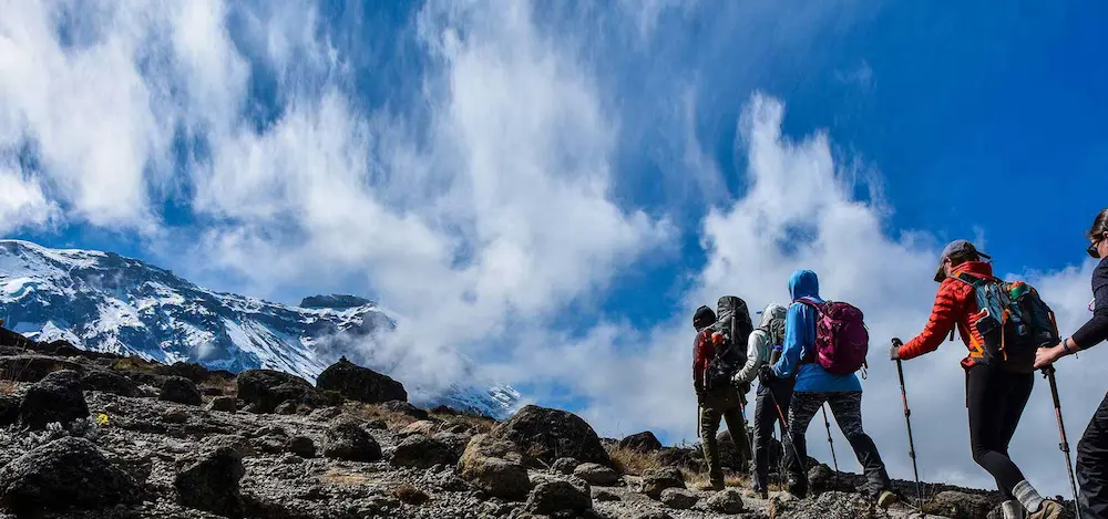 Climbing Kilimanjaro Guided group to Uhuru Peak