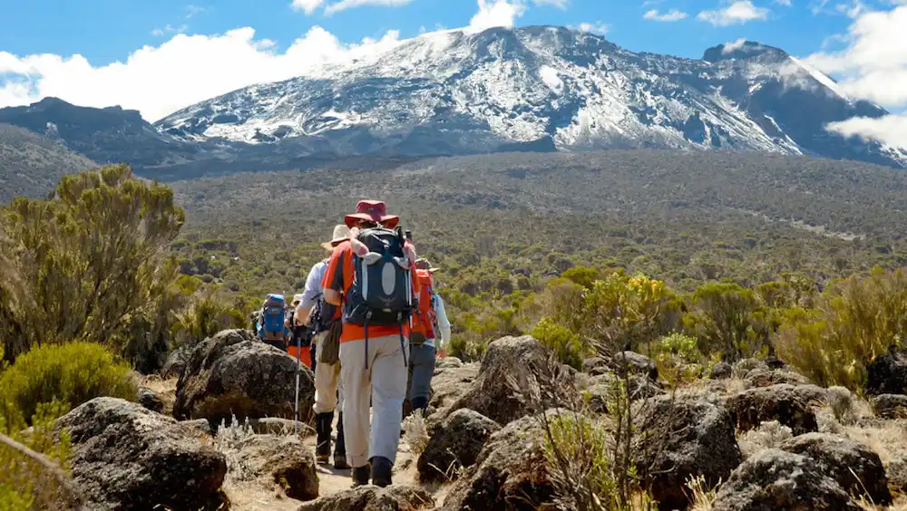 A group climbing Mount Kilimanjaro via Lemosho Route