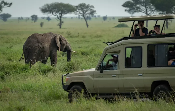 Game drive during Tanzania Wildlife Luxury Safari - 6 Days