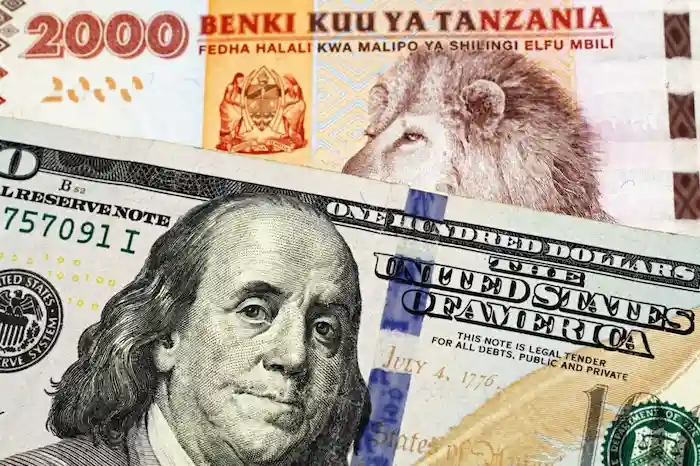 What Currency Should I Bring to Tanzania?