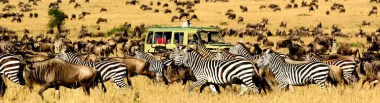 The Best Tanzania Safari Itinerary Choice