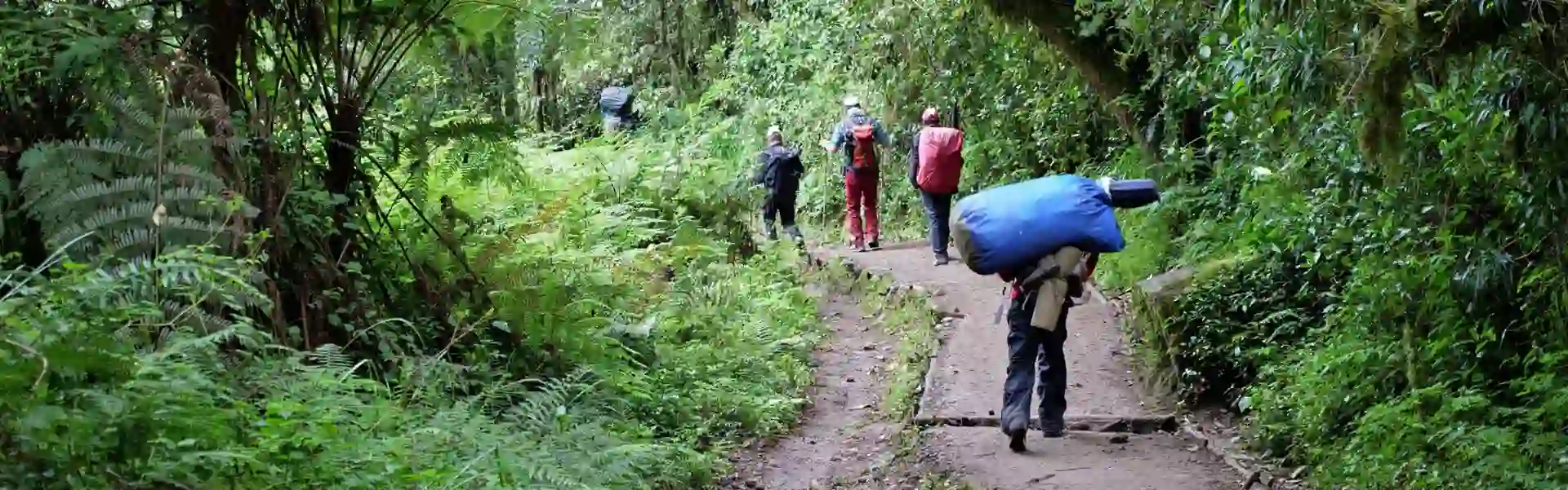 Mount Kilimanjaro at Mweka route