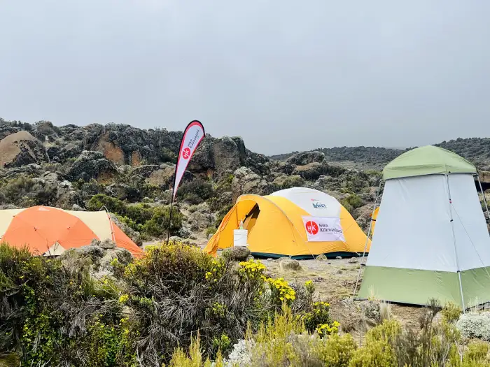 Budget Kilimanjaro Trek