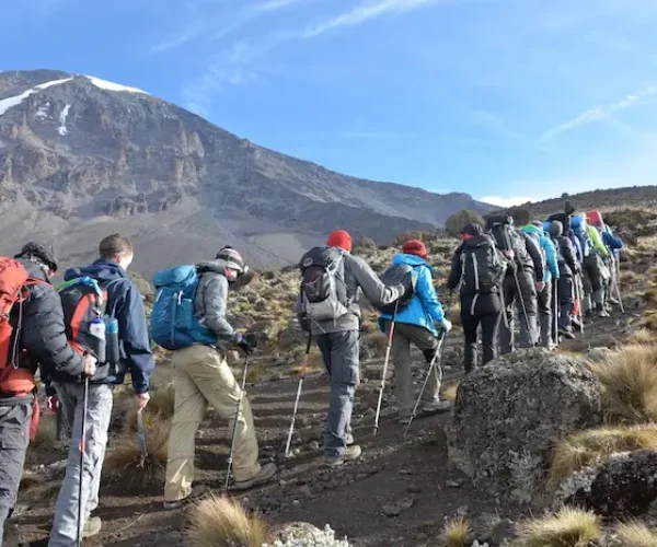 Group trekking on the 6-Day Marangu Route – Group Join Trek Kilimanjaro climb