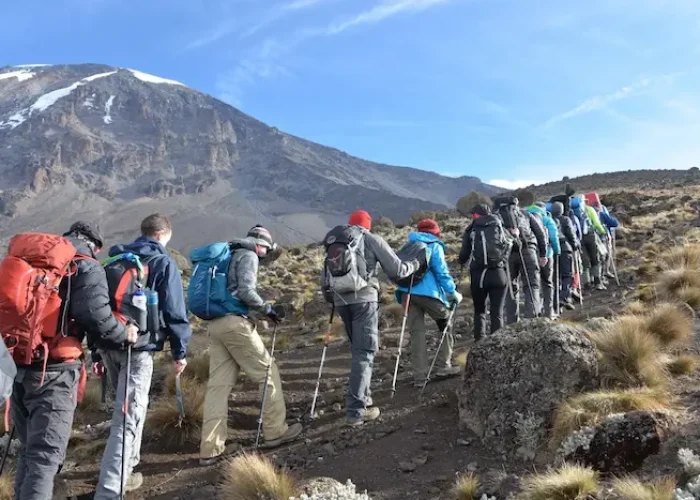 Group trekking on the 6-Day Marangu Route – Group Join Trek Kilimanjaro climb