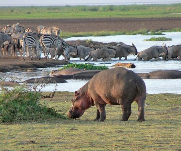 lake manyara day trip