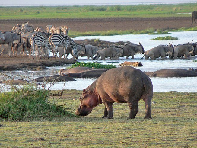 lake manyara day trip