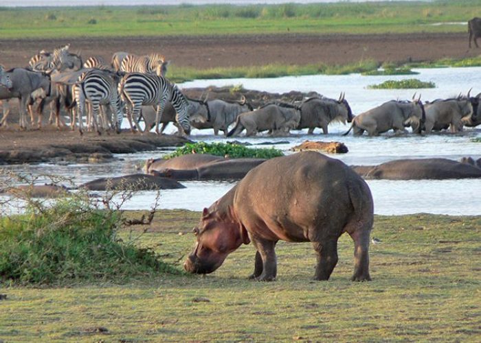 lake manyara day trip