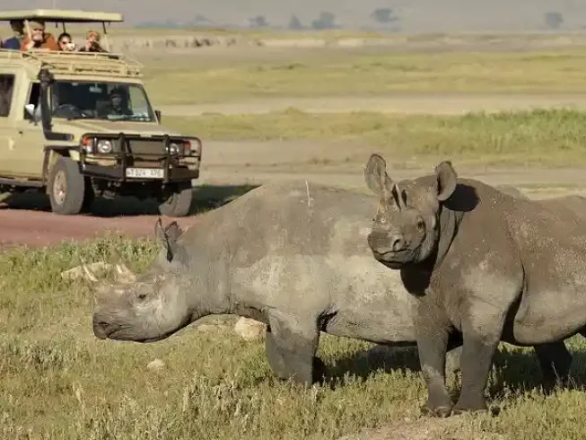 Rhino in Ngorongoro Crater during 7-Day Northern Tanzania Budget Safari Tour