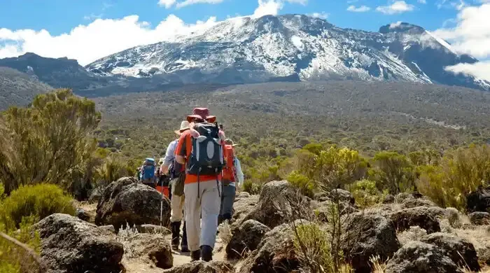 Kilimanjaro Day Hike
