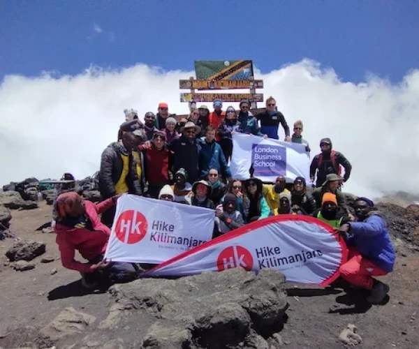 The group at Uhuru peak during Kilimanjaro Machame Route Trek – 7 Days