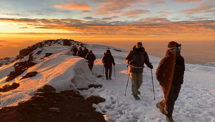 8 Days Northern Circuit Kilimanjaro Trek