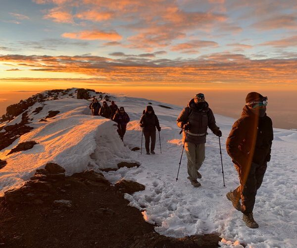 Kilimanjaro Northern Circut Route Trek - 8 Days