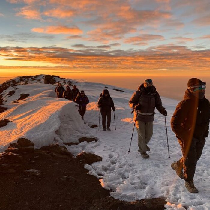 Kilimanjaro Northern Circut Route Trek - 8 Days