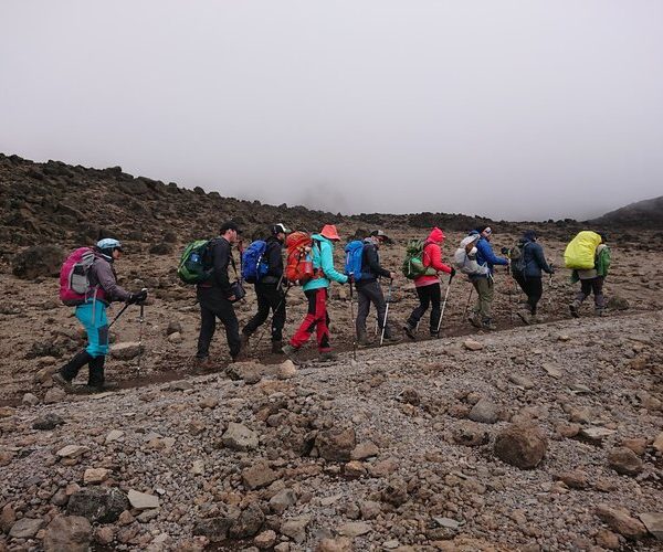 Kilimanjaro Rongai Route Trek