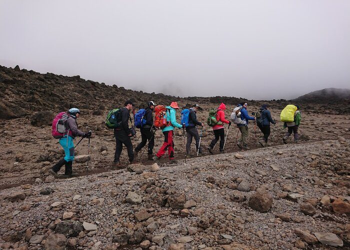 Kilimanjaro Rongai Route Trek