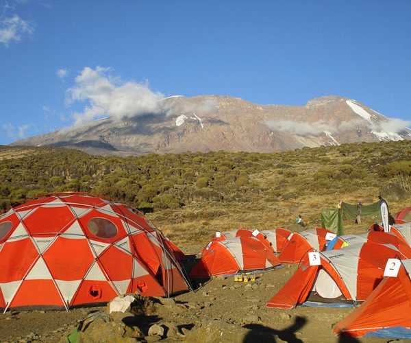Kilimanjaro Shira Route hike - 7 Days