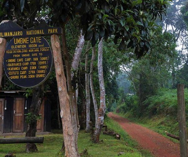 Kilimanjaro umbwe Route Trek – 6 Days
