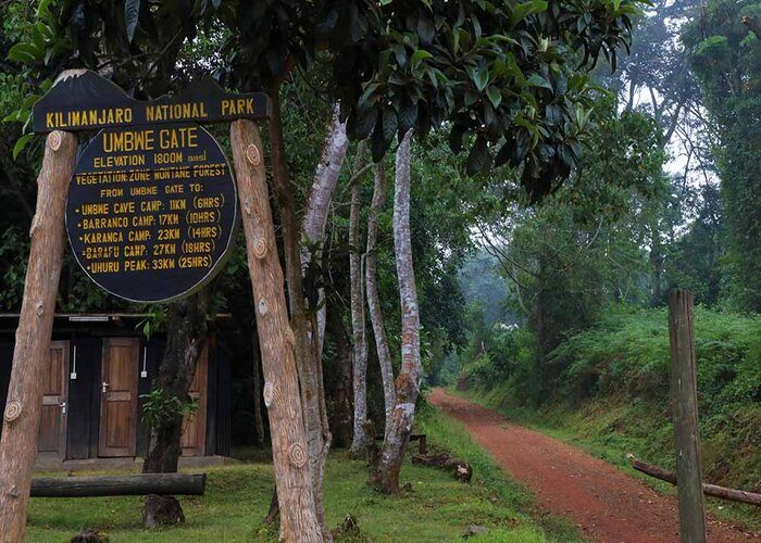 Kilimanjaro umbwe Route Trek – 6 Days