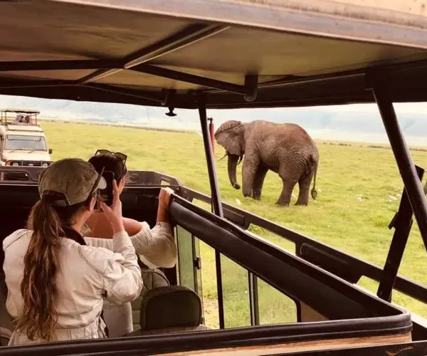 Luxury Tanzania Safari & Zanzibar Holiday – Big Five Adventure & Exclusive Beach Escape - 10 Days hk1