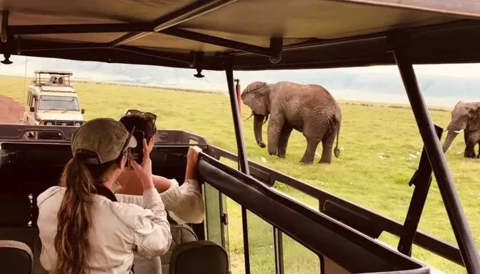 Tanzania Safari and Zanzibar
