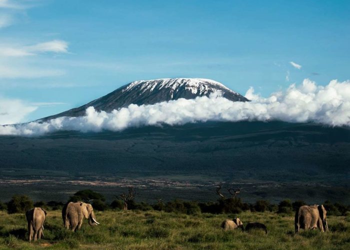 Mount Kilimanjaro1