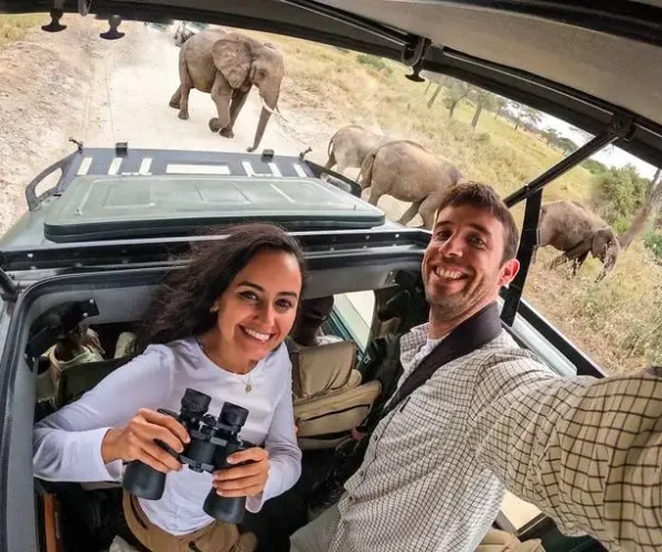Game drive during Private Guided Tanzania Safari - 6 Days
