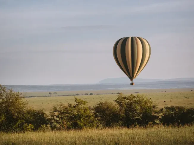 Serengeti Balloon hk4