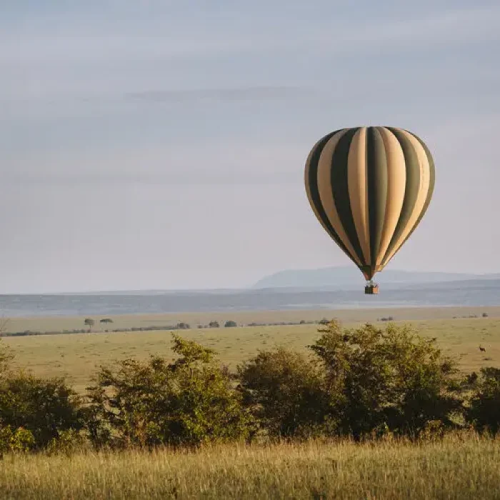 Serengeti Balloon hk4