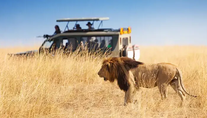 6 Days Safari Tanzania
