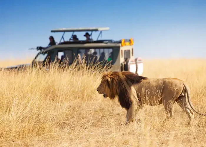 Tanzania Big Five Safari - 6 Days hk